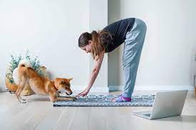 Training Made Easy: Modern Dog Magazine’s Online Dog Training for Today’s Pet Owners post thumbnail image