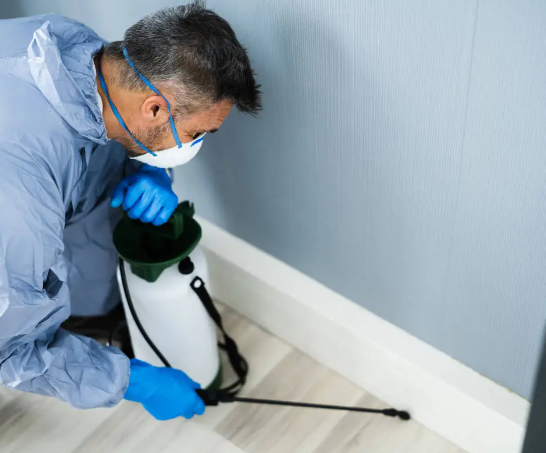 Effective Pest Control Services in Las Vegas post thumbnail image