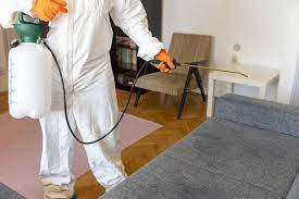 Ensure a Pest-Free Home with Comprehensive Las Vegas Pest Control Services post thumbnail image