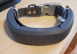 Halo Intelligent Dog Collar Overview: Is It Worth the Dollars? post thumbnail image