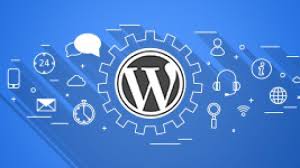 Maximising Your WordPress Site’s Potential: Optimisation Services for Success post thumbnail image