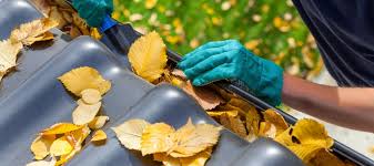 Gutter Cleaning Services in the Eastern Suburbs: Expert Solutions for a Well-Maintained Home post thumbnail image