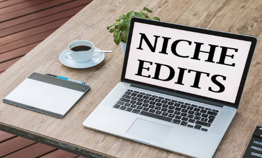 Niche edits: The SEO Edge You Need post thumbnail image