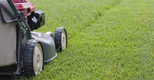 Denver Lawn Service Pros: Making Your Yard Shine post thumbnail image