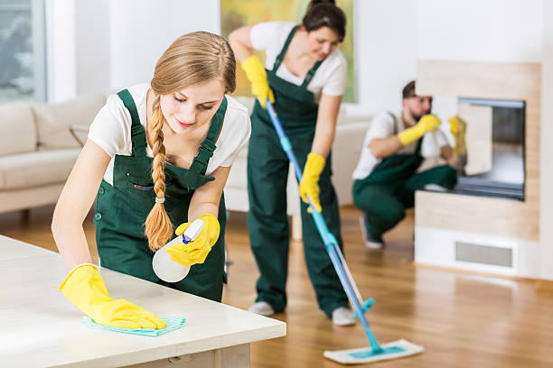 Refresh, Revive, Rejoice: Experience the Best Cleaning Services in Venice post thumbnail image