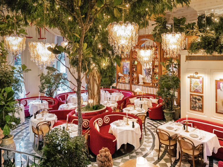 Anchor’s Culinary Canvas: South Kensington’s Gastronomic Oasis post thumbnail image