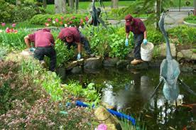Your Pond, Our Priority: Comprehensive Pond Company Services post thumbnail image