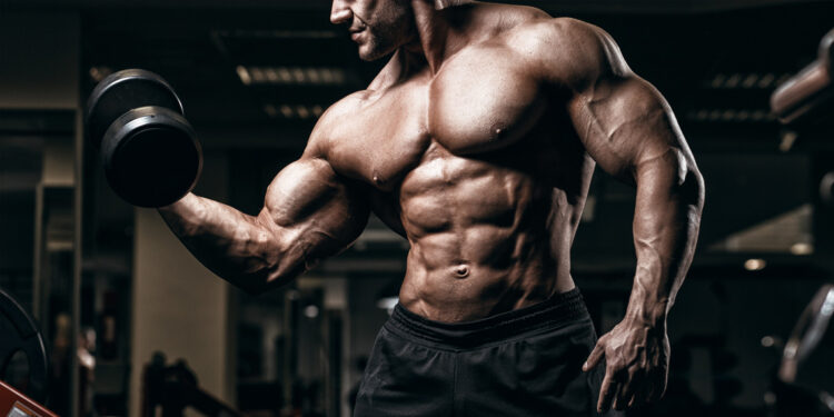 Moving the Online Marketplace: Top 5 Reliable Steroid Purchase Websites post thumbnail image